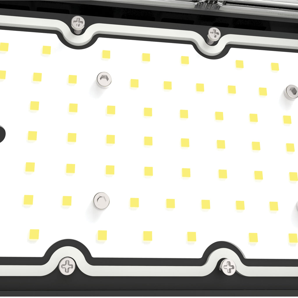 FLS1600 Sports Flood Light 1600W 224,000lm