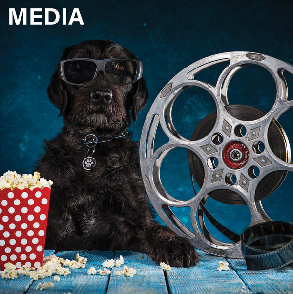 Media